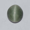 Cat’s Eye